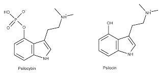 Psilocybin molecule