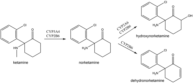 Clinical Research Spotlight_ Ketamine, Norketamine and Hydroxynorketamine_Img1