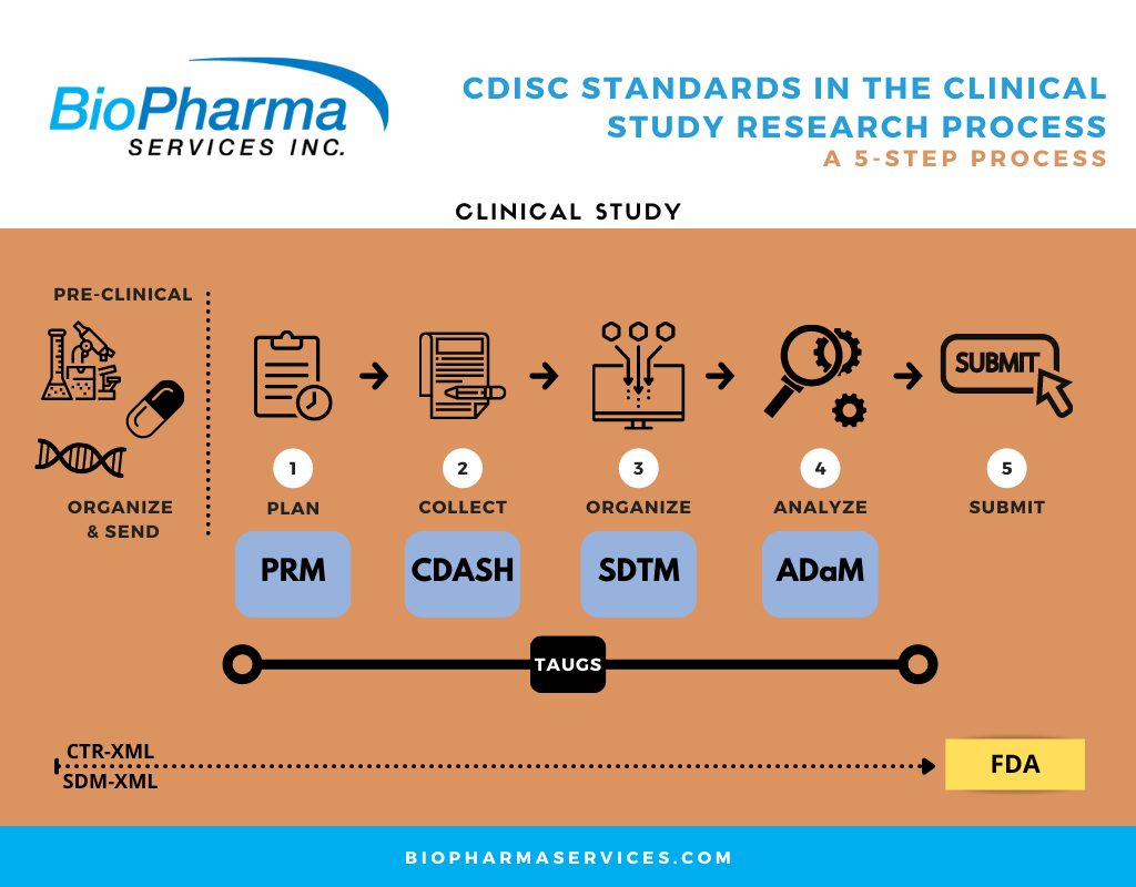 CDISC Standards in the Clinical Study research Process