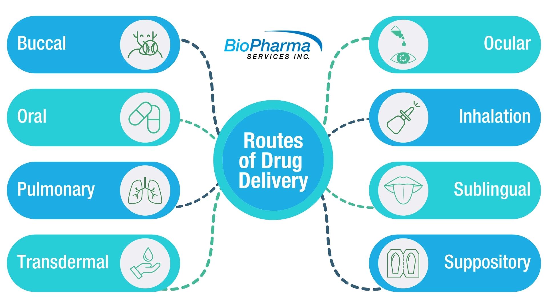 Routes of drug delivery image.