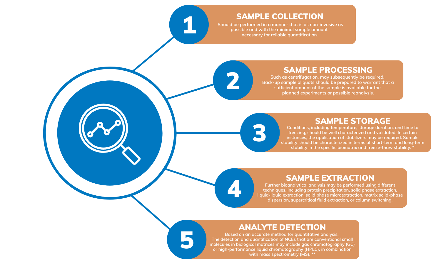 Steps Involved in Bioanalytical Analysis