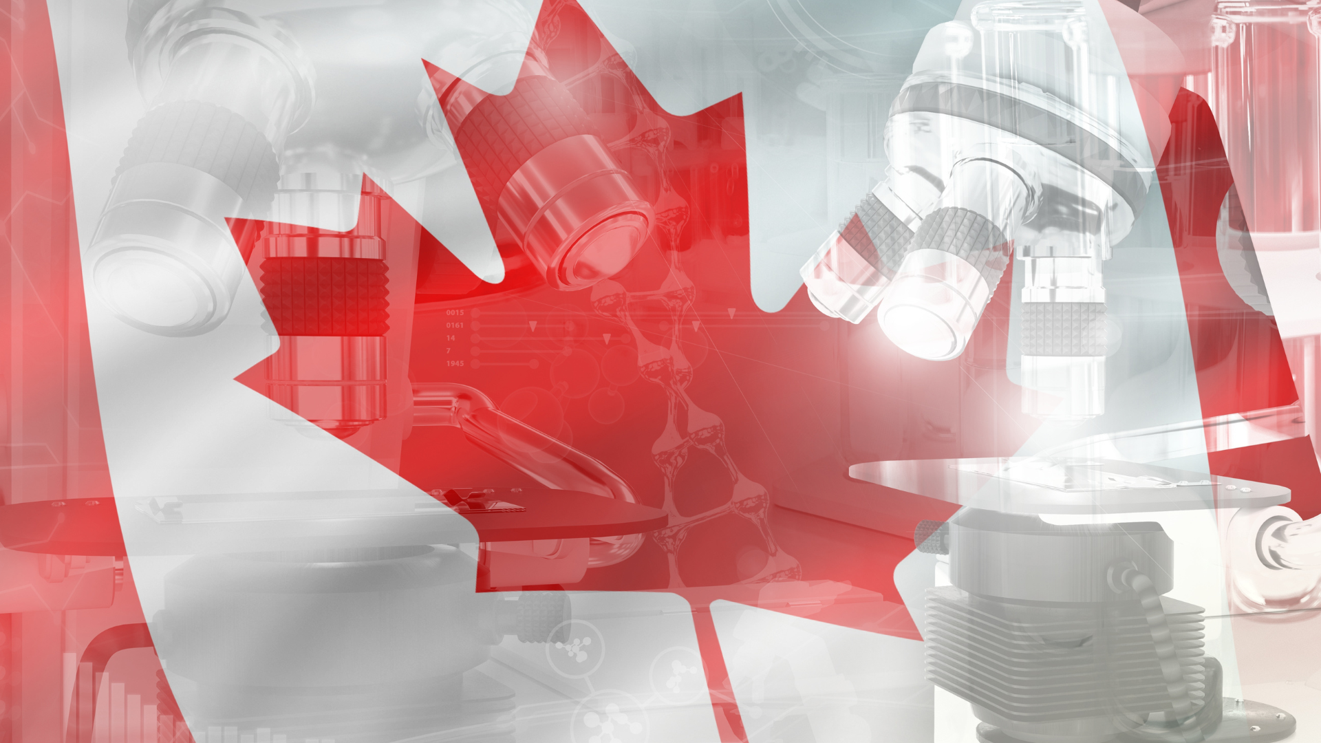 Eight Reasons to Choose Canada for Your Phase 1 Clinical Trial blog image.