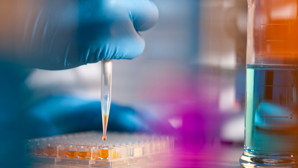 Bioequivalence Study Sampling Schedules - BioPharma Services